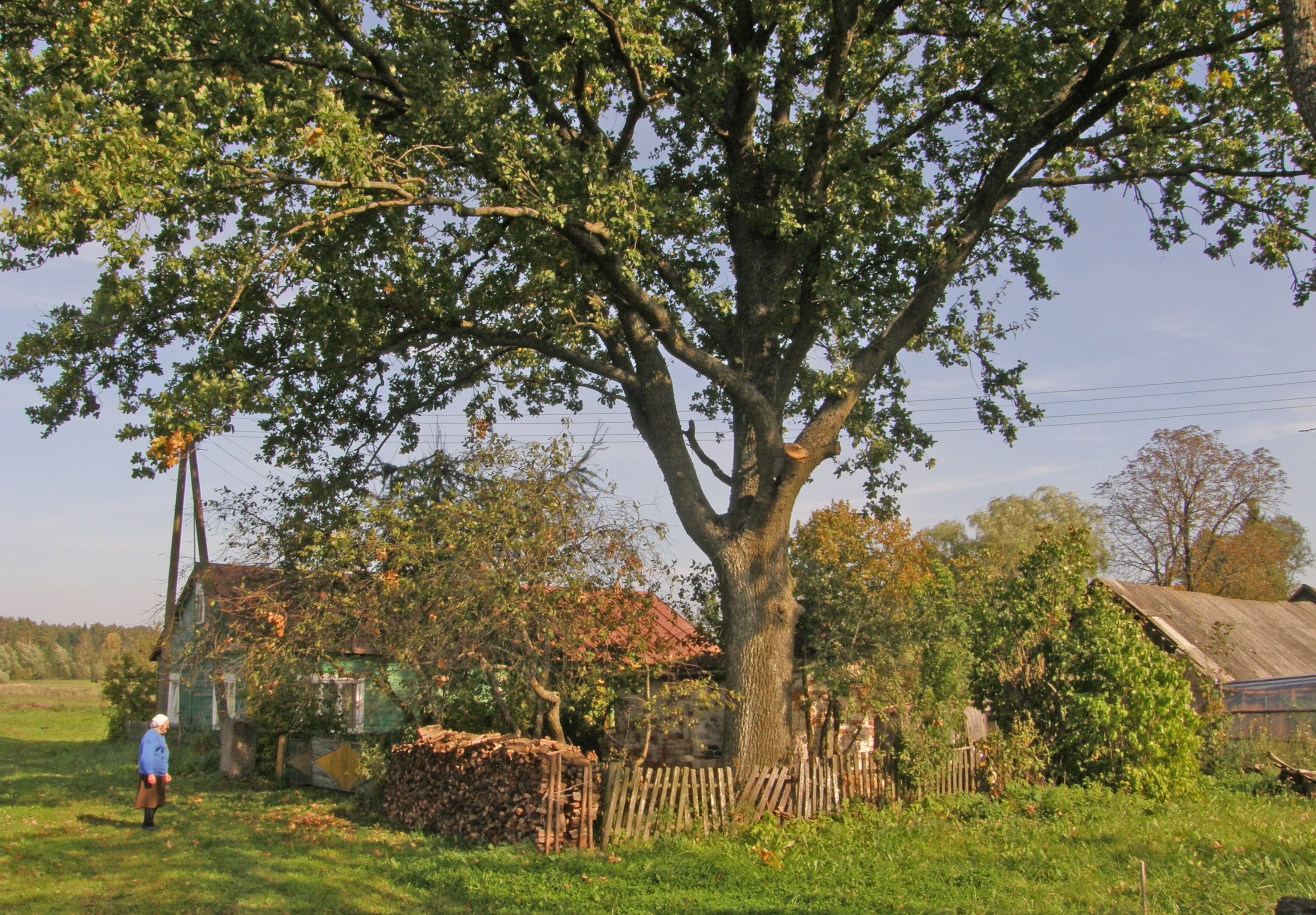 04 P9240136.JPG
